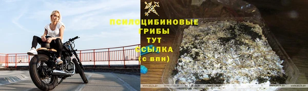 сатива Осташков