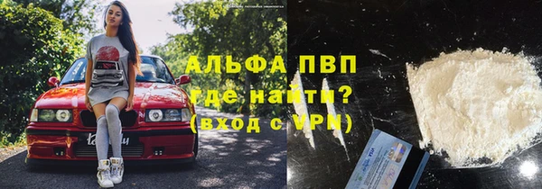сатива Осташков