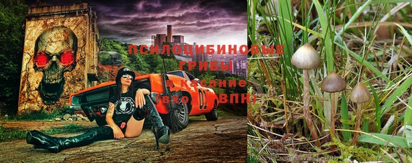 a pvp Остров