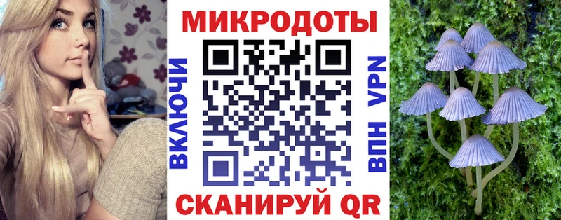 купить закладку Суоярви Галлюциногенные грибы Psilocybine cubensis